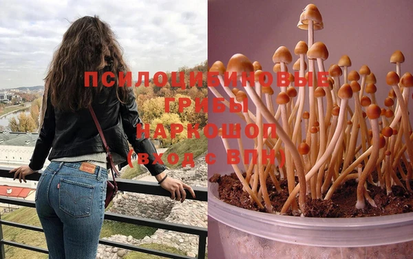 метамфетамин Абаза