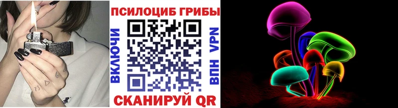 МЕГА рабочий сайт  купить наркотики цена  Приволжский  Галлюциногенные грибы Psilocybine cubensis 